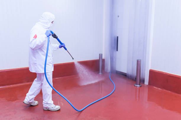Best Post-Construction Pressure Washing  in Elverta, CA